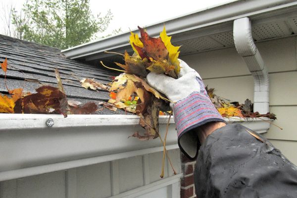 Grow your Roof Gutter Cleaning business