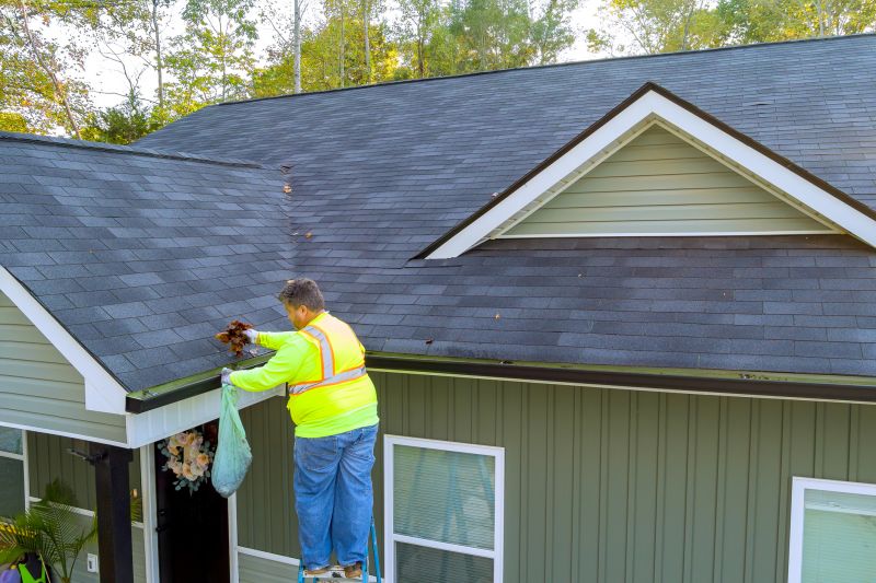 Roof Gutter Cleaning